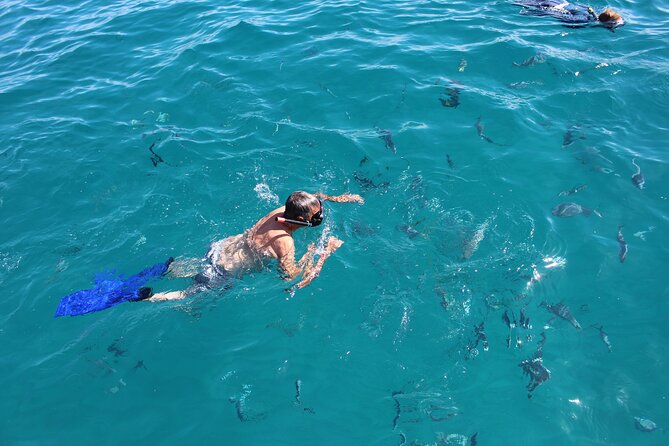 Luxury Snorkel Tour in Sailing Catamaran - Snorkeling in Chileno’s protected waters