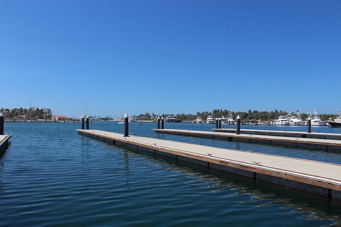 Luxury Snorkel Tour in Sailing Catamaran - Back aboard for ceviche and drinks