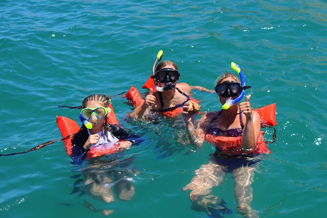 Luxury Snorkel Tour in Sailing Catamaran - Practical details before you book