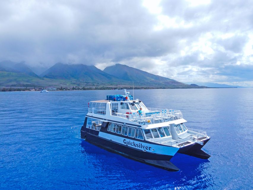 Ma'alaea Harbor: Whale Watching Tour Aboard Power Catamaran - Ma’alaea Bay and the Maui coastline