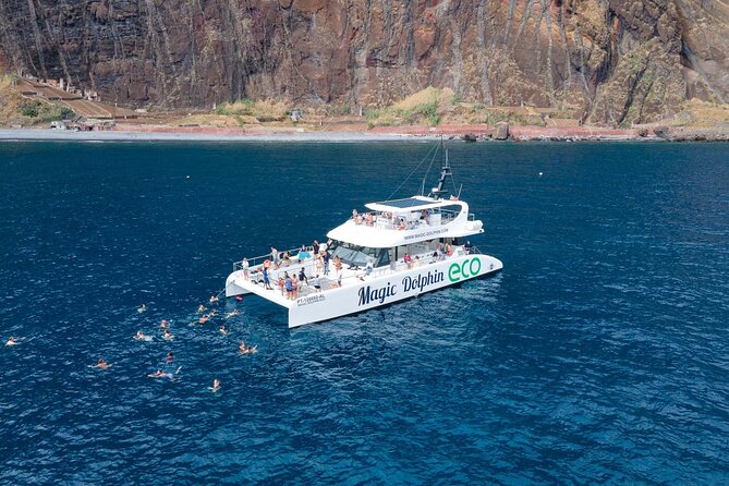 Madeira Dolphin and Whale Watching on a Ecological Catamaran - Why This Funchal Whale-Watching Trip Is Worth Considering