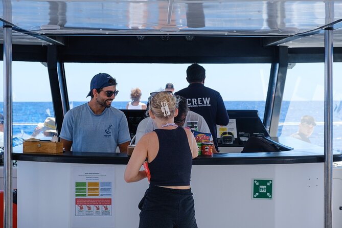 Madeira Dolphin and Whale Watching on a Ecological Catamaran - Boarding the 2022 Eco-Friendly Catamaran