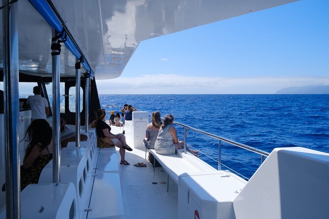 Madeira Dolphin and Whale Watching on a Ecological Catamaran - Cabo Girão and the Southern Coast on the Way Back