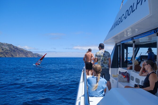 Madeira Dolphin and Whale Watching on a Ecological Catamaran - Timing, Group Size, and Planning Your Day
