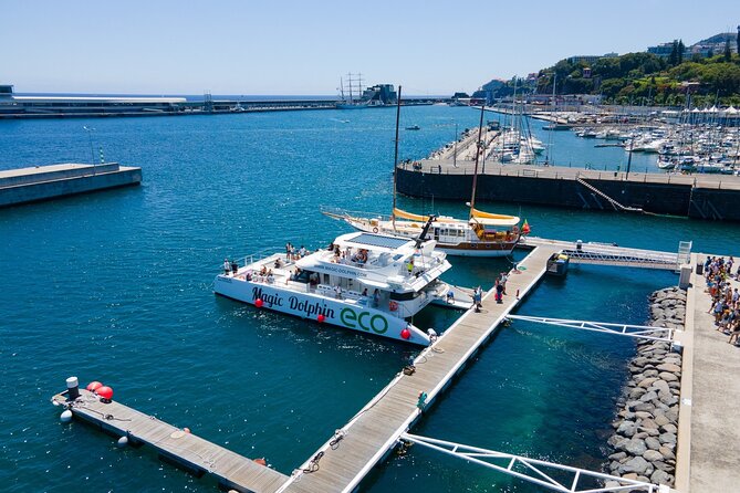 Madeira Dolphin and Whale Watching on a Ecological Catamaran - How the Value Adds Up at $42.33