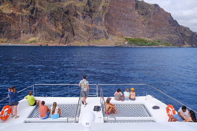 Madeira Dolphin and Whale Watching on a Ecological Catamaran - What the Guides Add to the Cruise