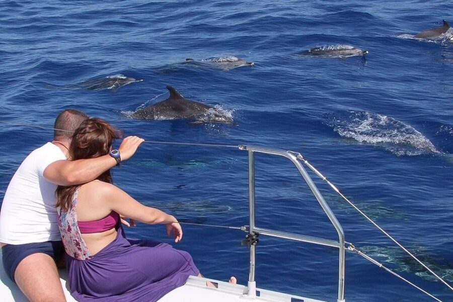 Madeira: Funchal Sunset Tour by Catamaran - Key points to know before booking