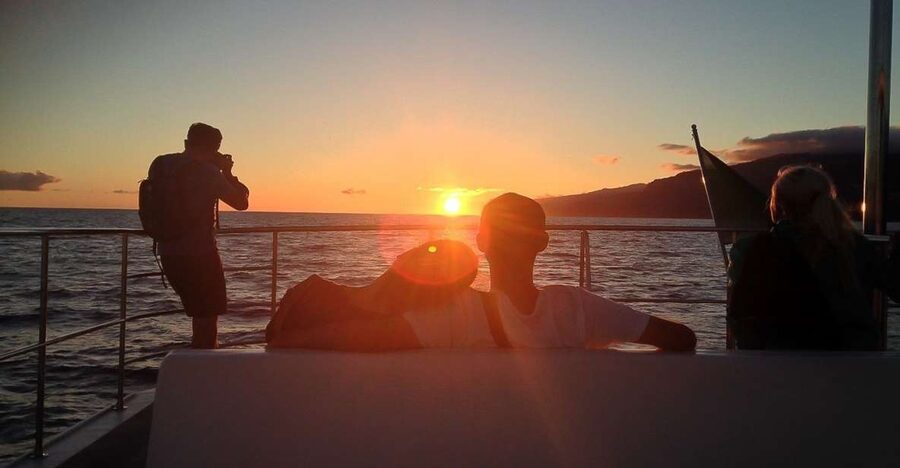 Madeira: Funchal Sunset Tour by Catamaran - Setting out from Funchal Marina
