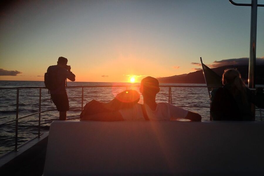 Madeira: Funchal Sunset Tour by Catamaran - The Cabo Girão swim stop