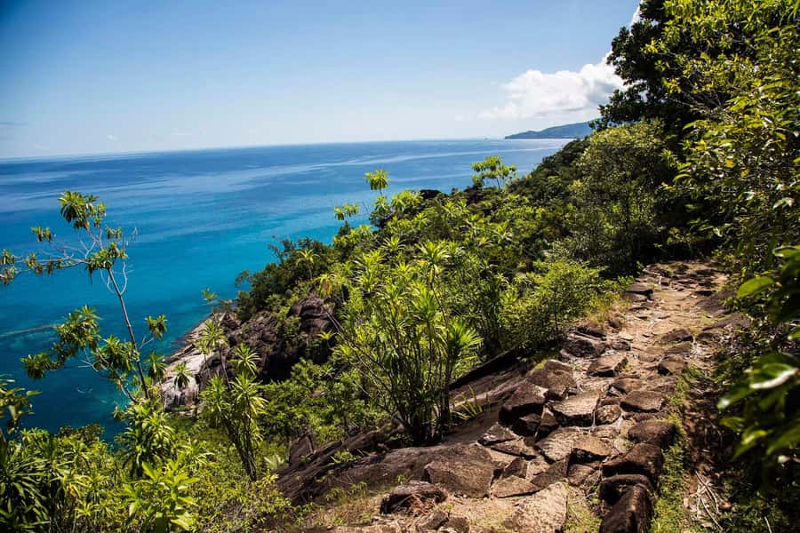 Mahé: Baie Ternay Park Catamaran Cruise with BBQ Lunch - Should you book Baie Ternay by catamaran?