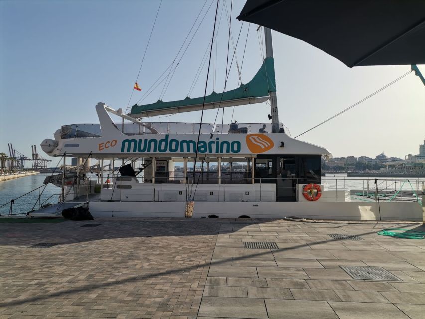 Malaga: A Sea of Stars Nighttime Stargazing Catamaran Tour - Cava, Live Music, and the Bar Onboard
