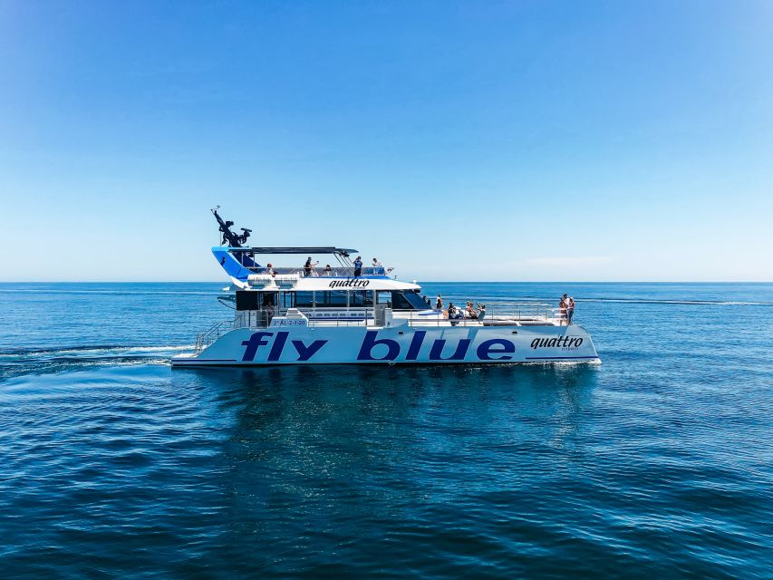 Málaga: Scenic Catamaran Cruise - Music, drinks, and the onboard mood