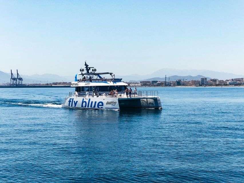 Málaga: Scenic Catamaran Cruise - How much value do you get for $15?