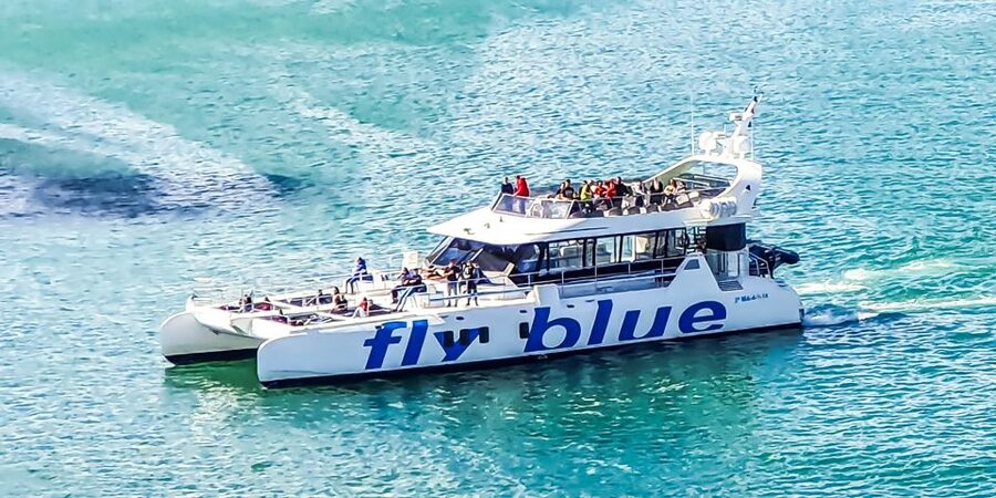 Málaga: Scenic Catamaran Cruise - Accessibility and practical comfort