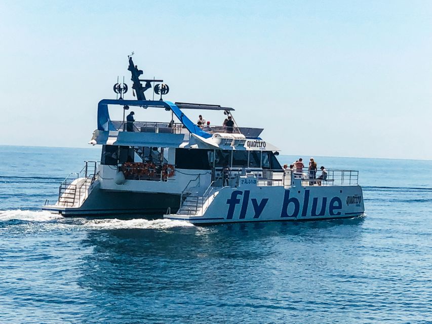 Málaga: Scenic Catamaran Cruise - Who will enjoy this cruise most?