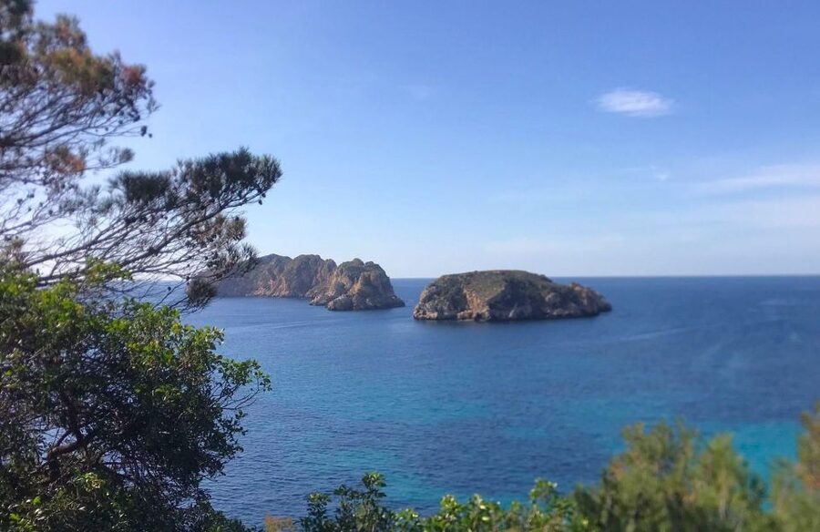 Mallorca: 2-Hour Coastline & Malgrat Islands Catamaran Tour - My practical booking advice