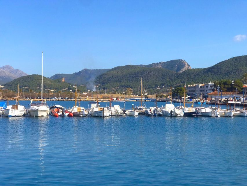 Mallorca: Catamaran Coastal Cruise with Lunch - Key points to know before booking