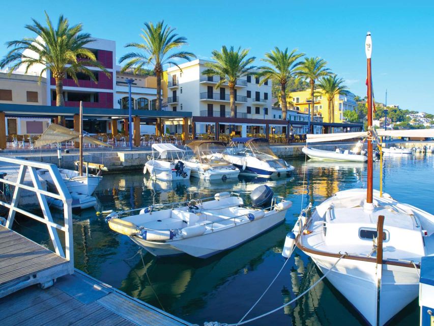 Mallorca: Catamaran Coastal Cruise with Lunch - A relaxed way to see Mallorca’s southwest coast