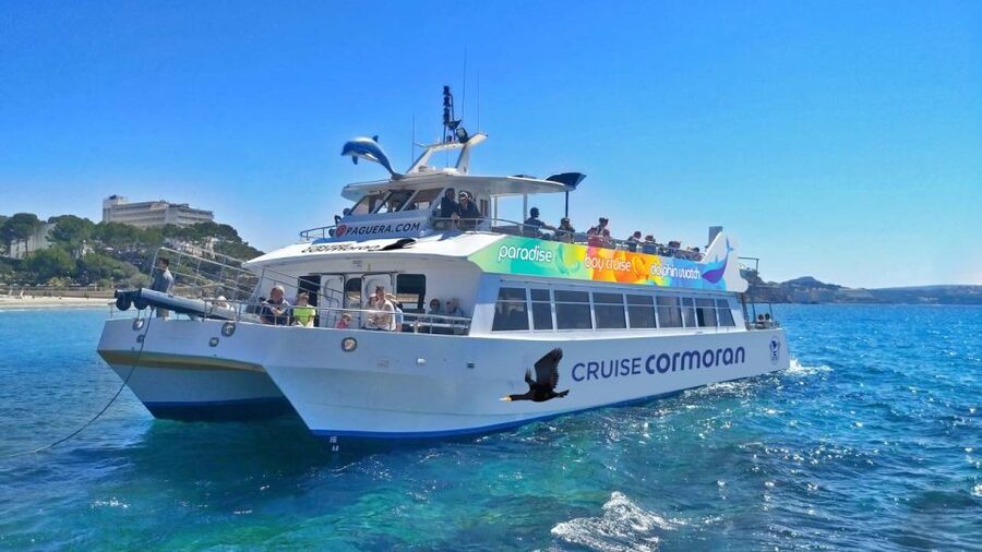 Mallorca: Catamaran Coastal Cruise with Lunch - The first swim near Cala Egos