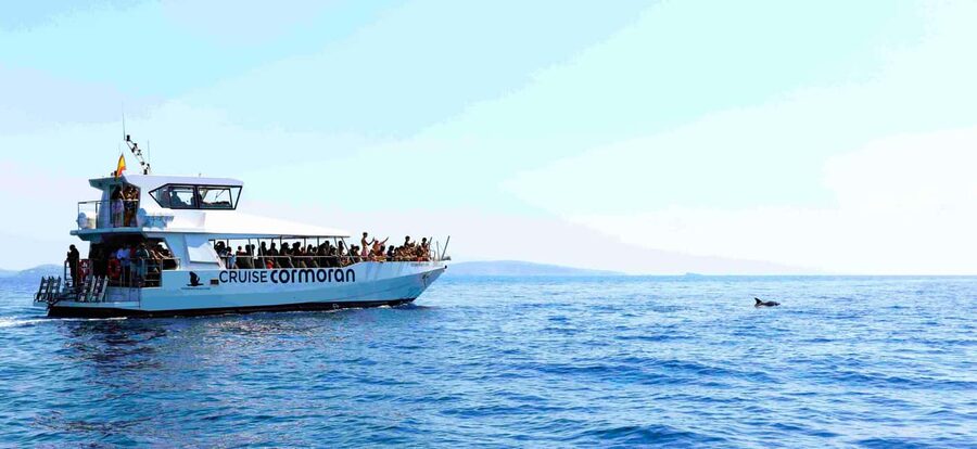 Mallorca: Catamaran Coastal Cruise with Lunch - Forty minutes at Port Andratx