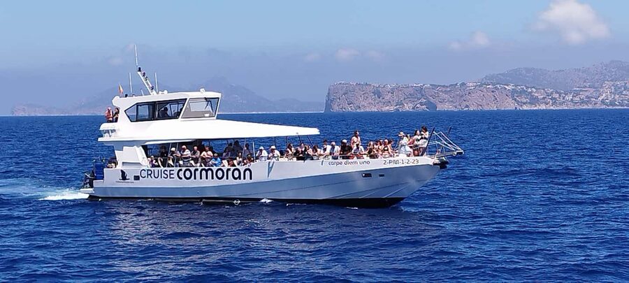 Mallorca: Catamaran Coastal Cruise with Lunch - Is $54 good value?