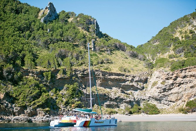 Mallorca Catamaran Cruise with Scenic Views and BBQ Lunch - Leaving Port d’Alcúdia on the Anacaona