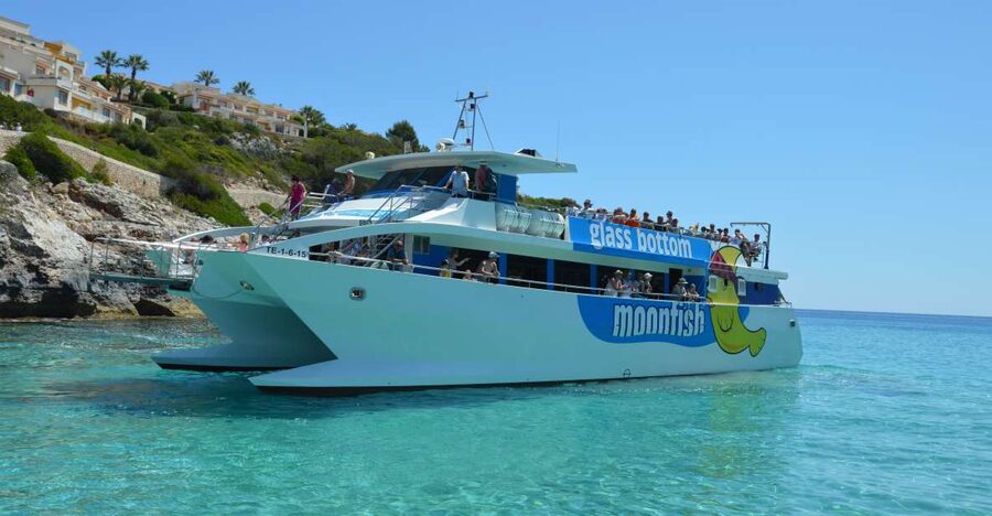 Mallorca: Glass-Bottom Catamaran Along the East Coast - A glass-bottom view of Mallorca’s east coast