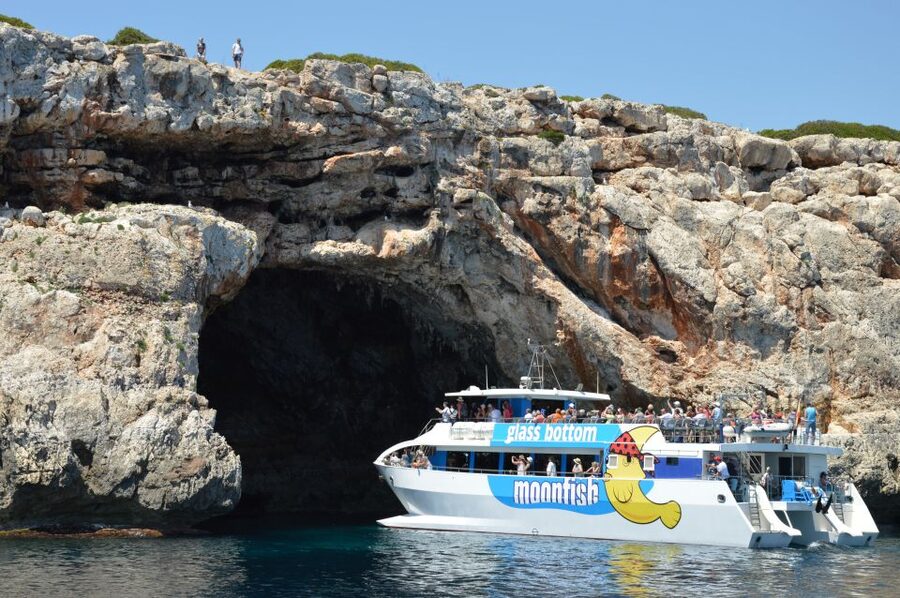 Mallorca: Glass-Bottom Catamaran Along the East Coast - Accessibility and sea conditions