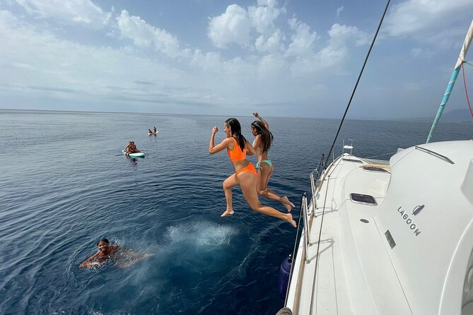 Marbella 2 - hour Catamaran Group Excursion with Dolphin Watching - Watching for dolphins in open water