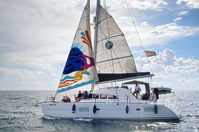 Marbella 2 - hour Catamaran Group Excursion with Dolphin Watching - A swim stop with paddleboards and snorkeling gear