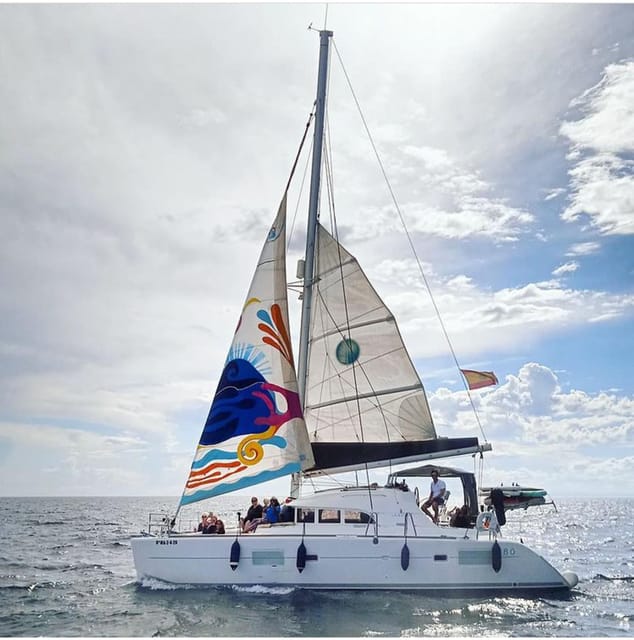 Marbella: Group Dolphin Watching Catamaran Tour with Snacks - Watching for dolphins near Marbella