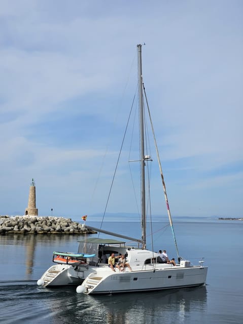 Marbella: Group Dolphin Watching Catamaran Tour with Snacks - Drinks, snacks, and the social mood