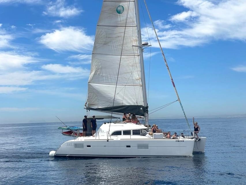 Marbella: Group Dolphin Watching Catamaran Tour with Snacks - Is $71 good value?