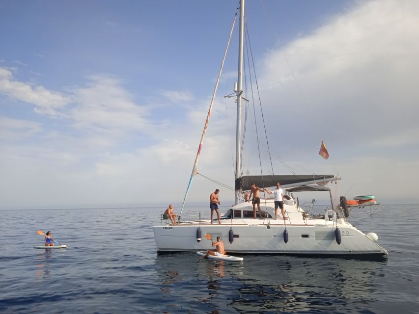 Marbella: Group Dolphin Watching Catamaran Tour with Snacks - Who will enjoy this catamaran cruise?