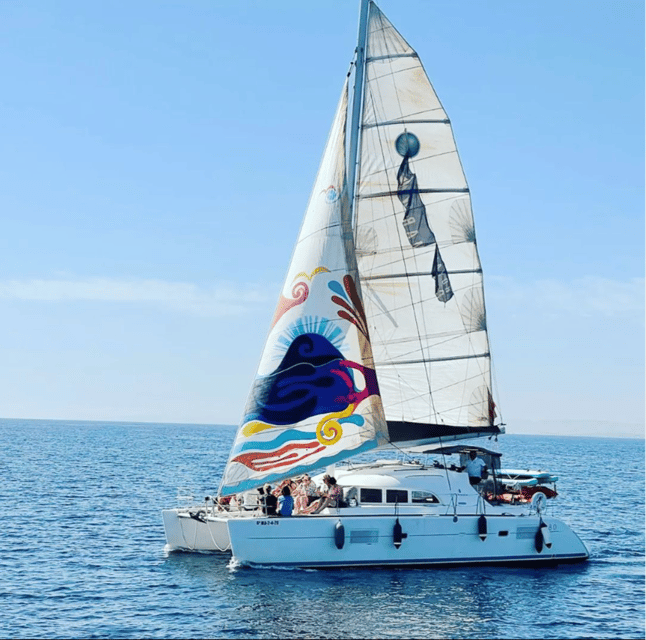 Marbella: Group Dolphin Watching Catamaran Tour with Snacks - Marbella from the water