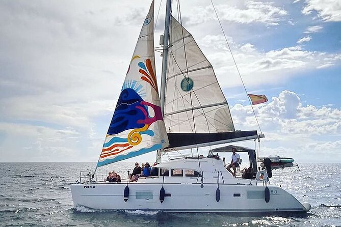 Marbella Small Group Catamaran with Dolphin Watching - Starting near Puerto Banús