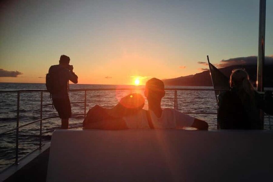 Marseille: Sunset catamaran cruise, buffet & drinks - Who will enjoy this Marseille cruise most?