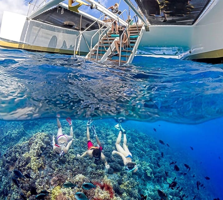 Maui: Luxury Catamaran Turtles & Tacos Snorkel - Tacos Fresh From the Onboard Bar