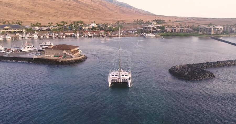 Maui: Luxury Catamaran Turtles & Tacos Snorkel - Is $159 a Fair Price?