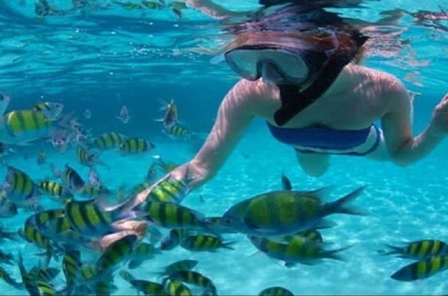 Mauritius: Catamaran cruise to 3 Northern Isles with lunch - Flat Island and the northern sea route