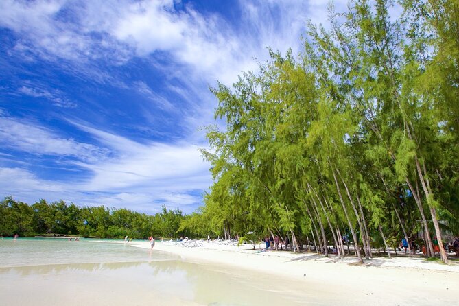 Mauritius: Catamaran Cruise to Ile Aux Cerfs with BBQ Lunch - Two and a half hours on Ile aux Cerfs