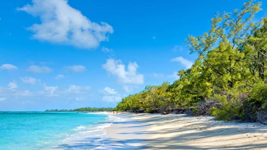 Mauritius: Ile aux Cerf Catamaran w/Waterfall Visit & Lunch - Practical details that affect your day