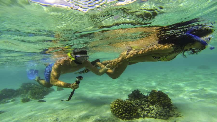 Mauritius: Ile aux Cerf Catamaran w/Waterfall Visit & Lunch - Setting out from Trou d’Eau Douce at 8:30
