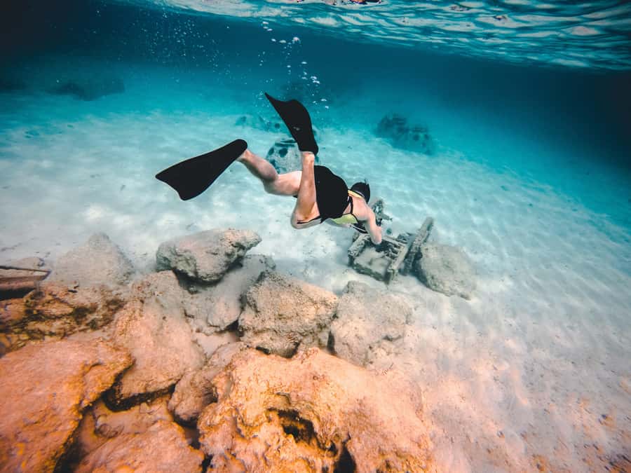 Miami: Key West with Catamaran Tour, Drinks, and Free Time - Key points at a glance