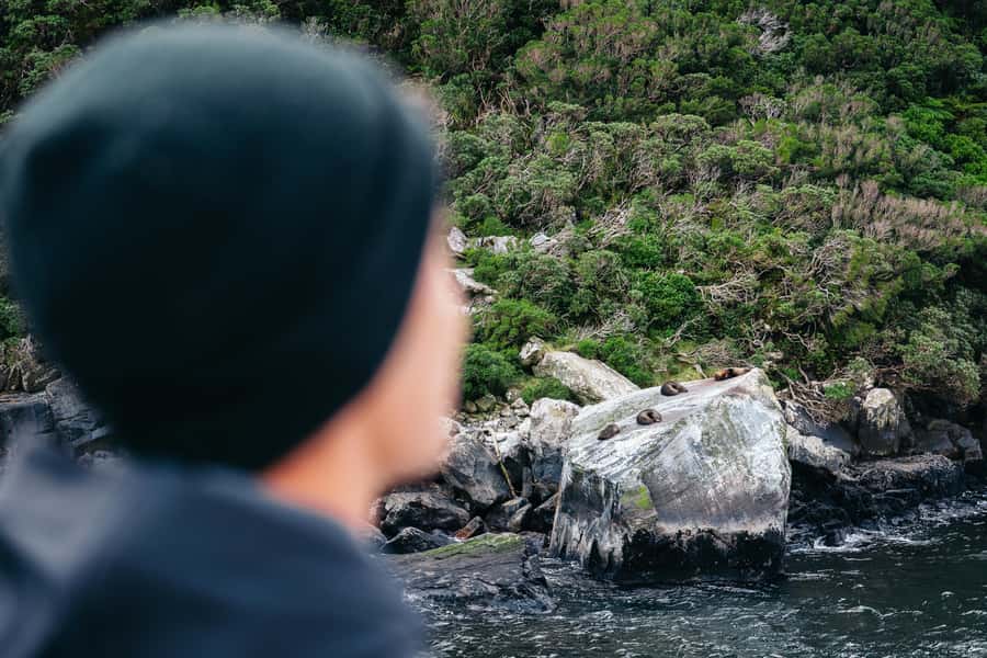 Milford Sound: Nature Cruise on a Modern Catamaran - Access for wheelchair users