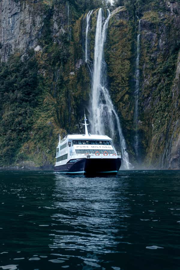 Milford Sound: Nature Cruise on a Modern Catamaran - Seals, dolphins, and a possible penguin sighting