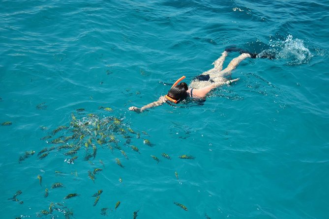 Montego Bay Catamaran Cruise and Snorkeling Tour from Falmouth - Practical preparation for the 9:00 a.m. start