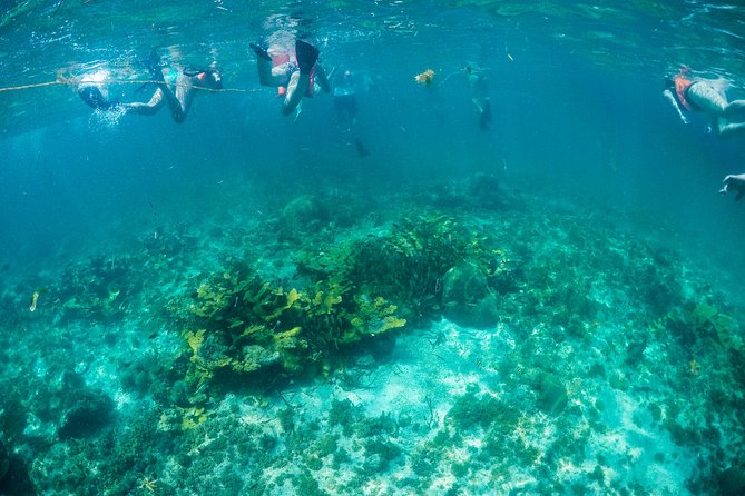 Mujeres Island Tour by Catamaran from Cancun City - Who should book this Cancun catamaran day?