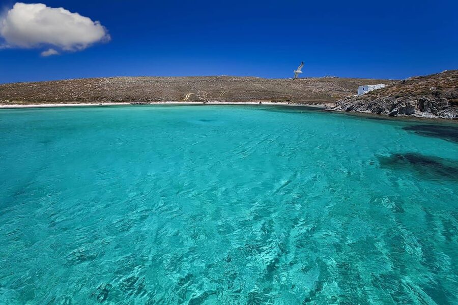 Mykonos Catamaran Delos Rhenia semi private cruise - Two hours at Rhenia: swim first, lunch second