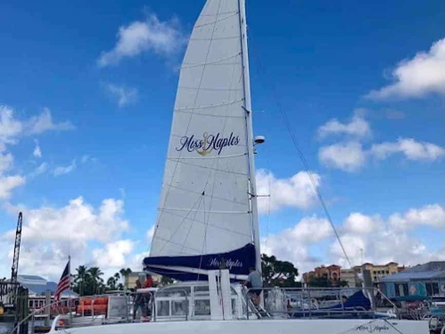 Naples: Catamaran Cruises with Wildlife Views - A comfortable way to see Naples from the water